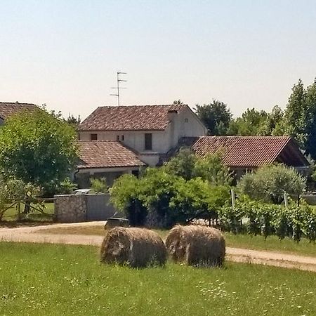Il Giuggiolo Bed & Breakfast Conegliano Ngoại thất bức ảnh