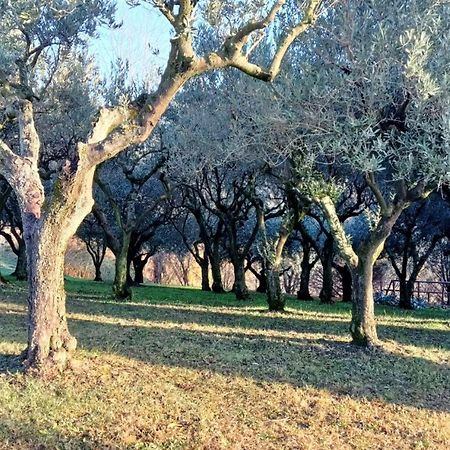 Il Giuggiolo Bed & Breakfast Conegliano Ngoại thất bức ảnh
