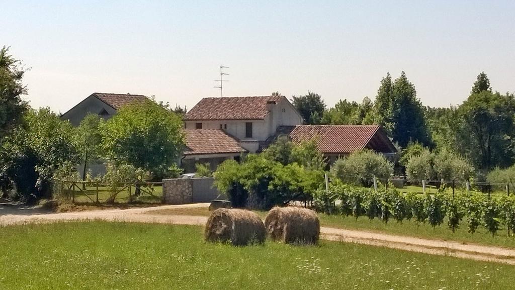 Il Giuggiolo Bed & Breakfast Conegliano Ngoại thất bức ảnh