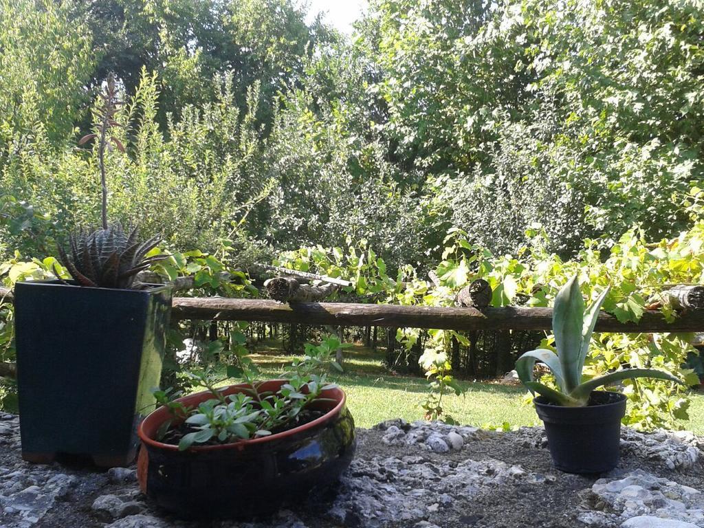 Il Giuggiolo Bed & Breakfast Conegliano Ngoại thất bức ảnh