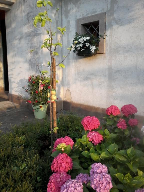 Il Giuggiolo Bed & Breakfast Conegliano Ngoại thất bức ảnh