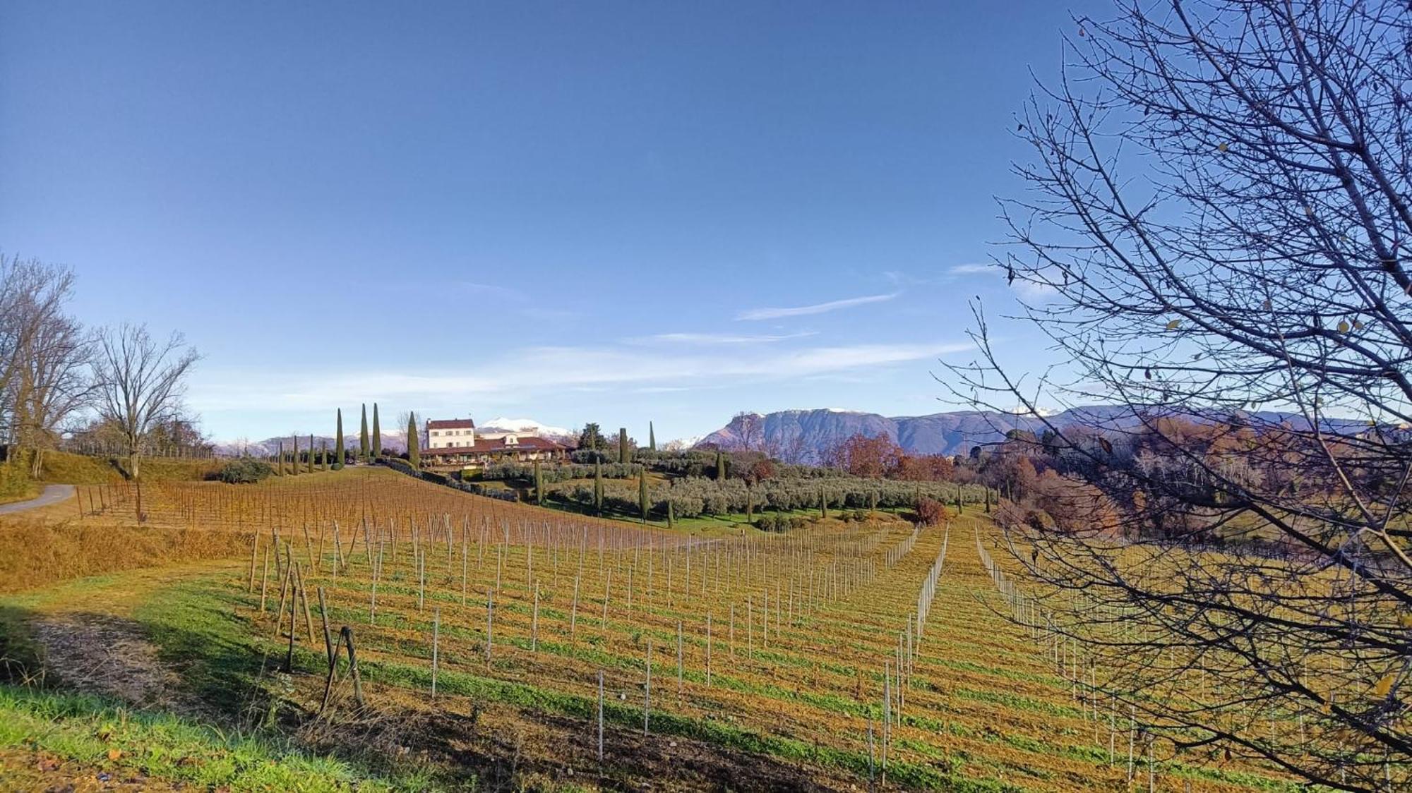 Il Giuggiolo Bed & Breakfast Conegliano Ngoại thất bức ảnh
