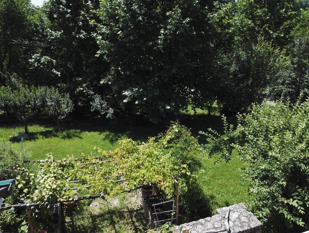 Il Giuggiolo Bed & Breakfast Conegliano Ngoại thất bức ảnh