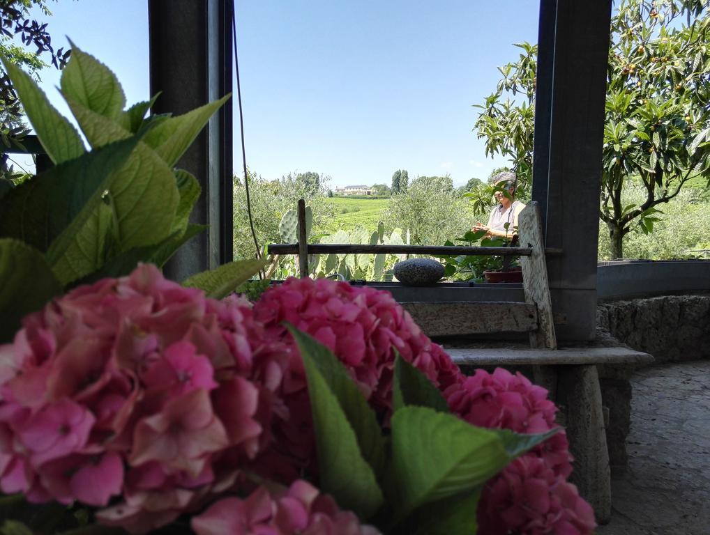 Il Giuggiolo Bed & Breakfast Conegliano Ngoại thất bức ảnh