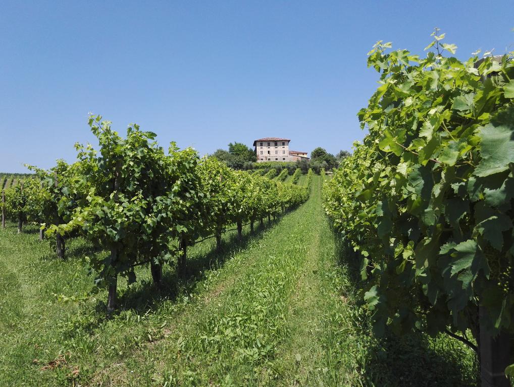 Il Giuggiolo Bed & Breakfast Conegliano Ngoại thất bức ảnh